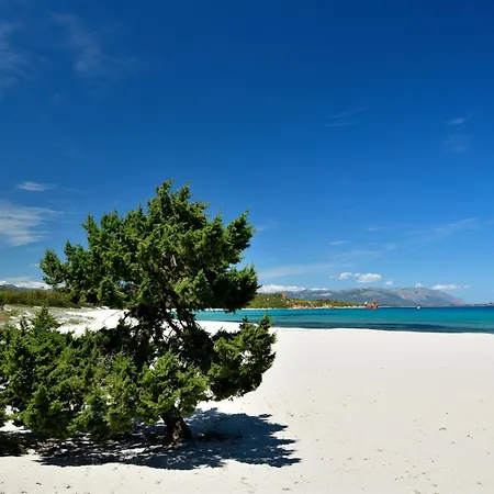 Il Rosmarino * Bari Sardo