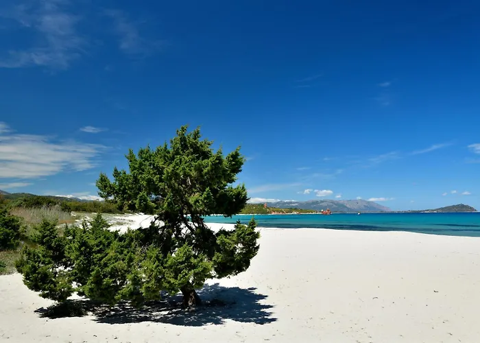 Il Rosmarino * Бари-Сардо